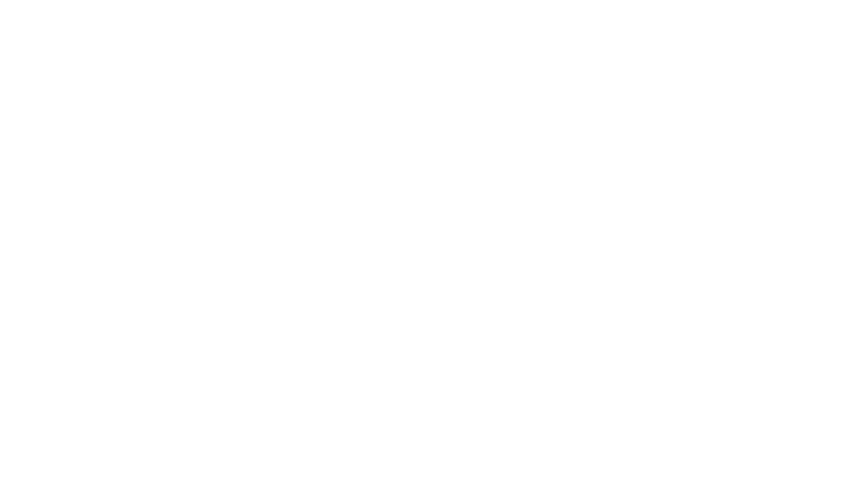 Acuvat Auditing
