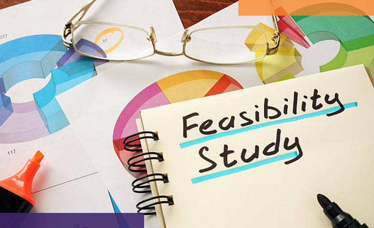 Feasibility Study